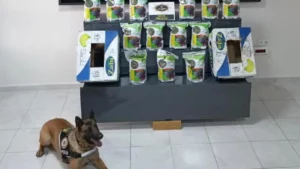 Ağrı&rsquo;da İran plakalı bir otob&uuml;ste yapılan aramada 5 kilo 948