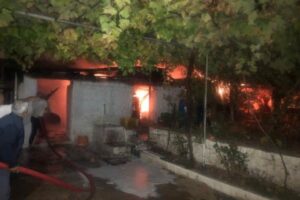 Muğla'nın Menteşe ilçesinde, ahırdaki elektrik kablolarında meydana gelen kısa devre
