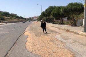 Turizm merkezi Çeşme’deki yollara dikkat çeken AK Parti Çeşme İlçe