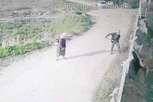 Aydın'ın Kuyucak il&ccedil;esinde tel &ouml;rg&uuml;lerin arkasında bulunan k&ouml;peklere sopayla vuran