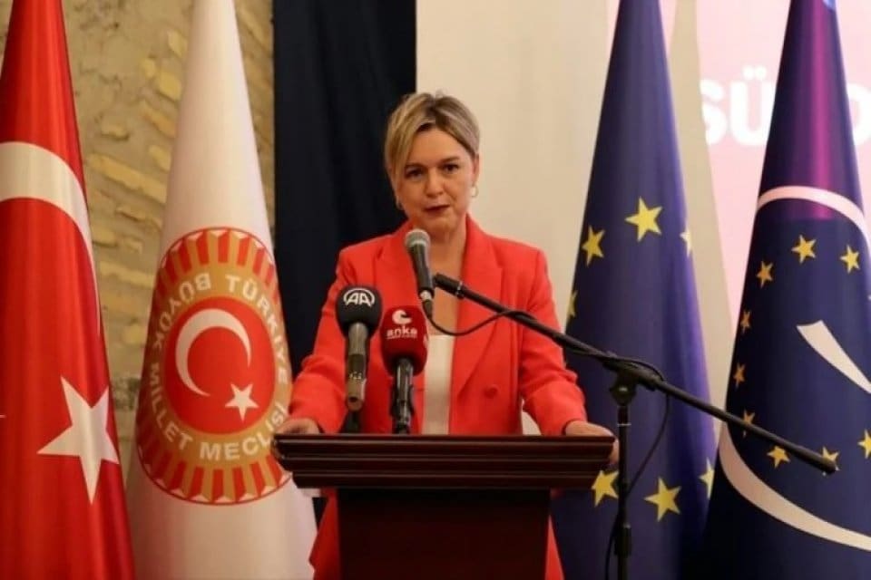 Avrupa Konseyi Parlamenter Meclisi (AKPM) Sosyal İşler, Sağlık ve S&uuml;rd&uuml;r&uuml;lebilir