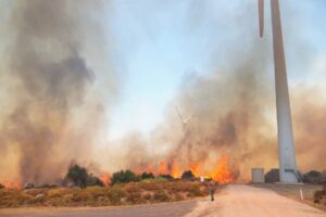 İzmir&rsquo;in &Ccedil;eşme il&ccedil;esine bağlı Ala&ccedil;atı'da makilik alanda &ccedil;ıkan yangının bir