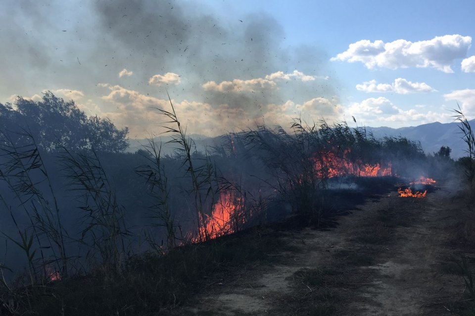 AYDIN&rsquo;ın Yenipazar il&ccedil;esinde, otluk alanda &ccedil;ıkan yangında alevlerin ortasında kalan