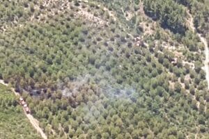 İzmir&rsquo;in Aliağa il&ccedil;esindeki otluk alan ve Menderes&rsquo;teki makilik alanda &ccedil;ıkan