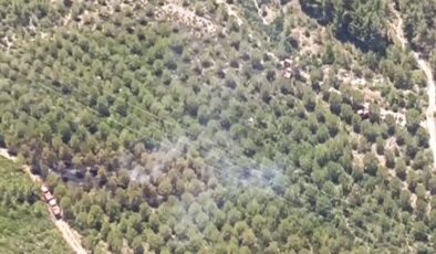 Aliağa ve Menderes'te orman yangınları… Kontrol altında