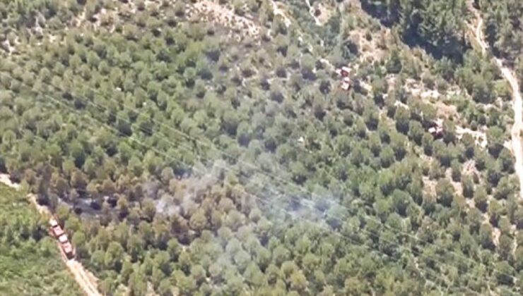 Aliağa ve Menderes'te orman yangınları… Kontrol altında