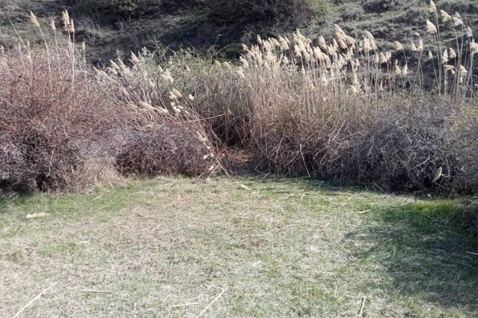 Ankara'nın Haymana il&ccedil;esinde otluk bir arazide bir erkeğe ait kafatası