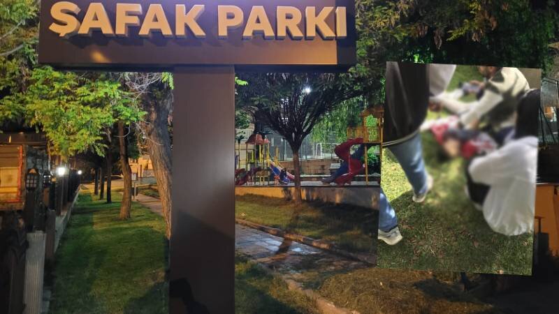 Olay, saat 17.00 sıralarında Şafak Mahallesi’nde meydana geldi. Şafak parkında