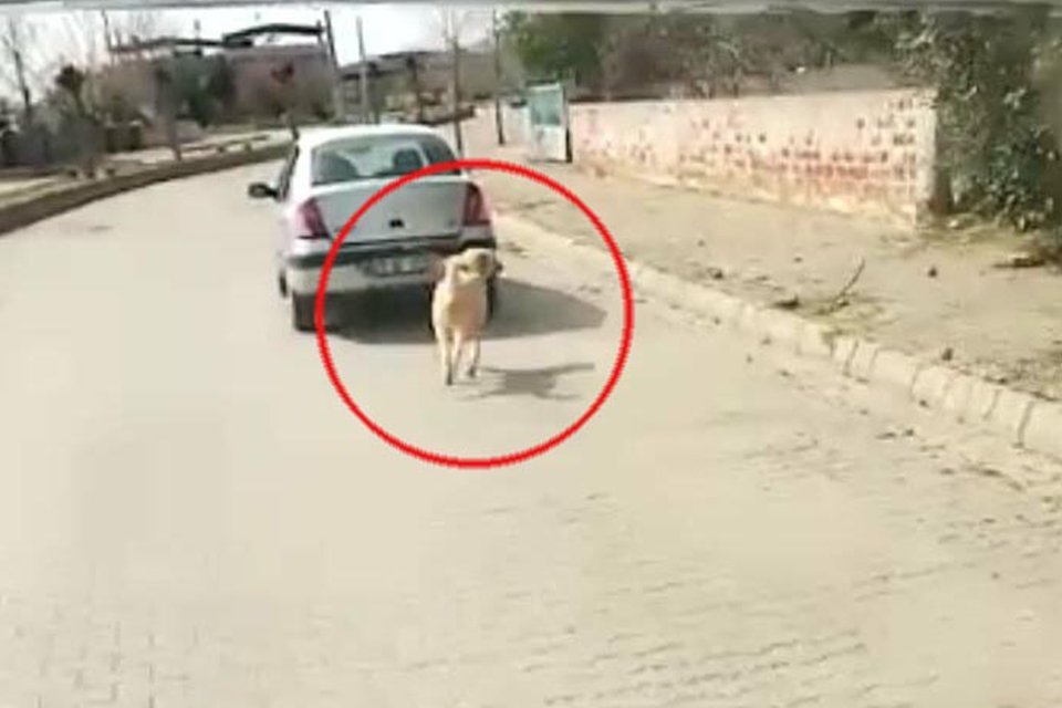 Aydın'ın Kuyucak ilçesinde, bir köpeğin iple otomobilin arkasına bağlanarak çekilmesi