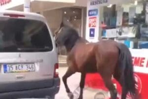 İZMİR'in Buca il&ccedil;esinde bir s&uuml;r&uuml;c&uuml;, hafif ticari aracına iple bağladığı