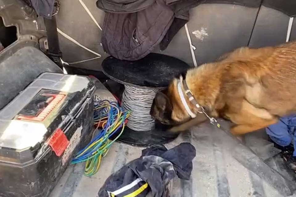 İzmir'de, polis ekiplerince durdurulan hafif ticari ara&ccedil;ta narkotik k&ouml;pek 'Mia'