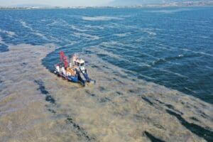 &nbsp; Başta Marmara Denizi olmak &uuml;zere denizlerdeki m&uuml;silaj k&acirc;busu i&ccedil;in
