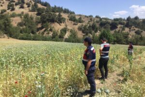 Manisa'nın K&ouml;pr&uuml;başı il&ccedil;esinde, jandarmanın d&uuml;zenlediği operasyonda yasa dışı ekildiği tespit