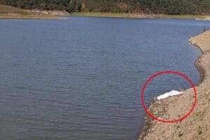 Alibeyk&ouml;y Barajı'nda boğulma tehlikesi ge&ccedil;iren arkadaşını kurtaran &ccedil;ocuk boğularak hayatını