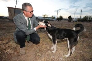 Gaziemir Belediyesi Ocak Ayı Meclis Toplantısı&rsquo;nda alınan kararla, sokak hayvanlarının