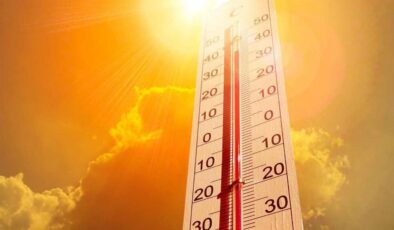 Aşırı sıcaktan 200 kişi hayatını kaybetti