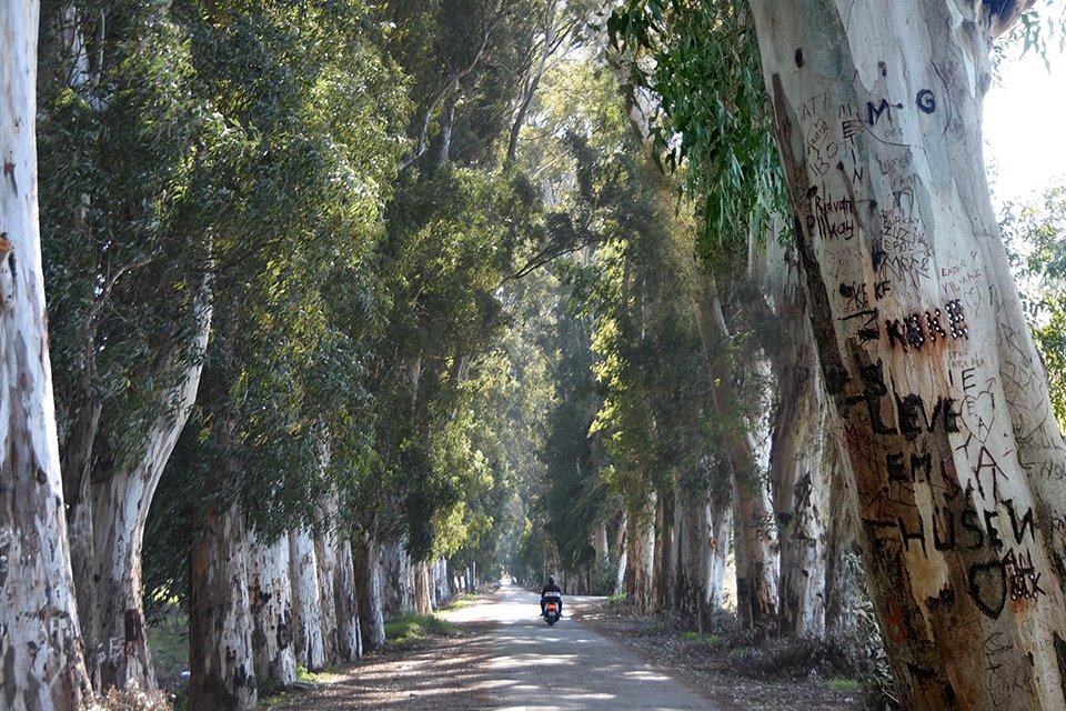 Muğla ile Marmaris'i birbirine bağlayan Gökova beldesinin Akçapınar Mahallesi'nde bulunan,