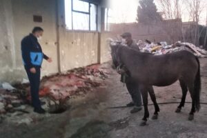 Konak Belediyesi, Konak İlçe Emniyet Müdürlüğü Çevre, Doğa ve Hayvanları