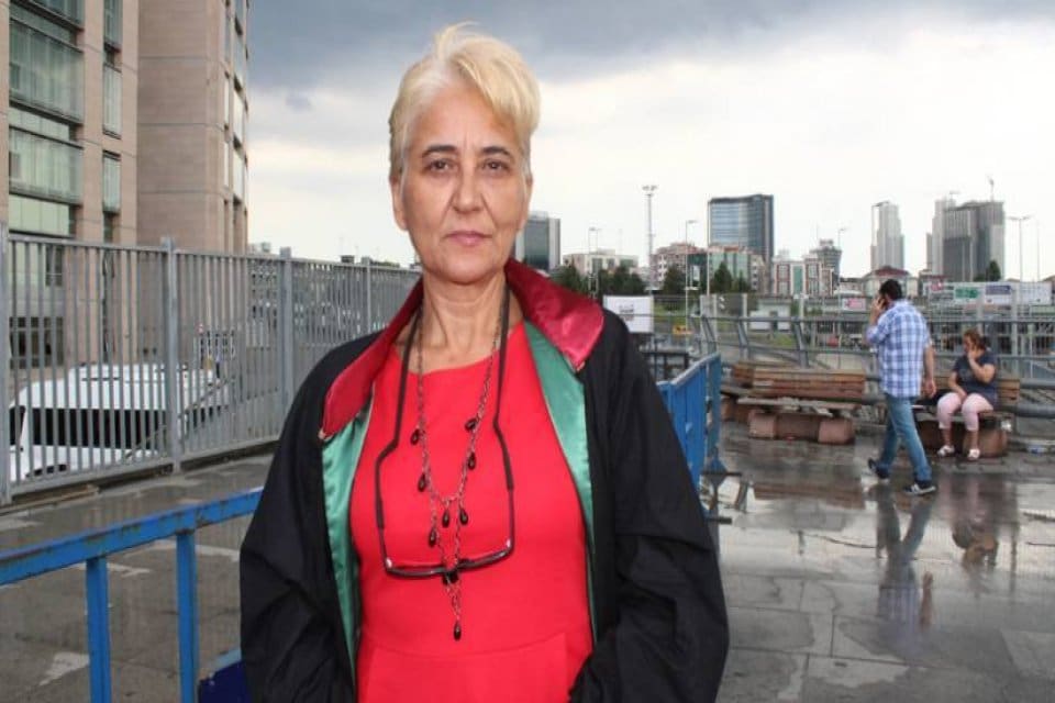 Hayvanları Koruma Kanunu ile T&uuml;rk Ceza Kanunu&rsquo;nda Değişiklik Yapılmasına Dair