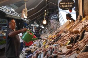 Denizlerde 1 Eyl&uuml;l itibarıyla av yasağının kalkmasıyla yeni sezon başladı.