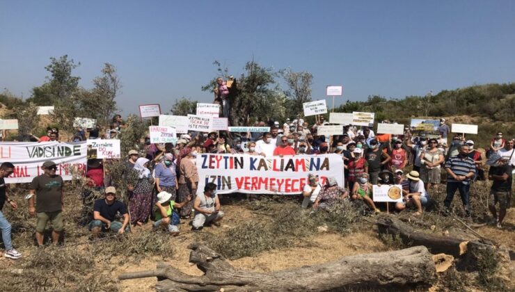 İzmirli avukatlardan Bakanlığa çağrı: 'Zeytinliklerle uğraşmaktan vazgeçilsin'