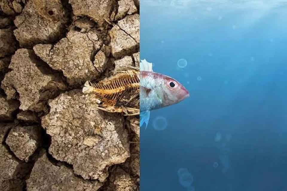 Avustralya'da hazırlanan bir &ccedil;evre raporunda &uuml;lkedeki durumun şoke edici olduğu