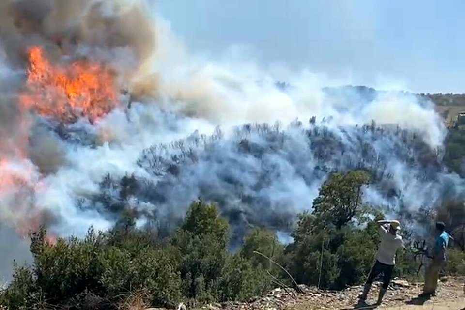 &nbsp;AYDIN'ın Bozdoğan il&ccedil;esinde &ccedil;ıkan orman yangını r&uuml;zgarın etkisiyle b&uuml;y&uuml;y&uuml;p, Muğla