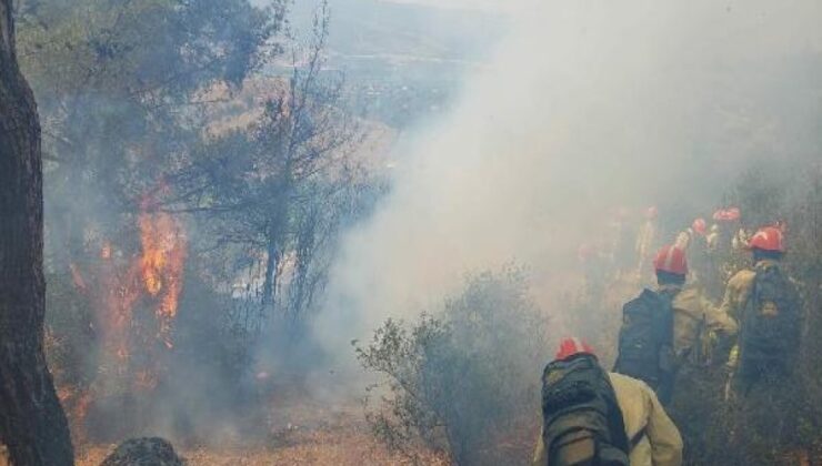 Aydın'da orman yangını; 2,8 hektar kızılçam yandı