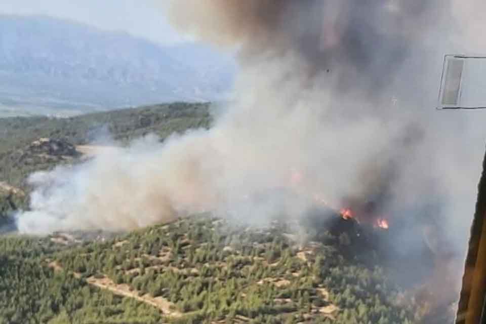 AYDIN'ın Nazilli il&ccedil;esinde orman yangını &ccedil;ıktı. Yangın r&uuml;zgarın da etkisiyle