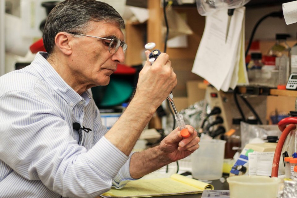 Aziz Sancar'dan beyin kanserine dair önemli keşif Nobel ödüllü bilim insanı Aziz Sancar, beyin kanserinin tedavisine yönelik