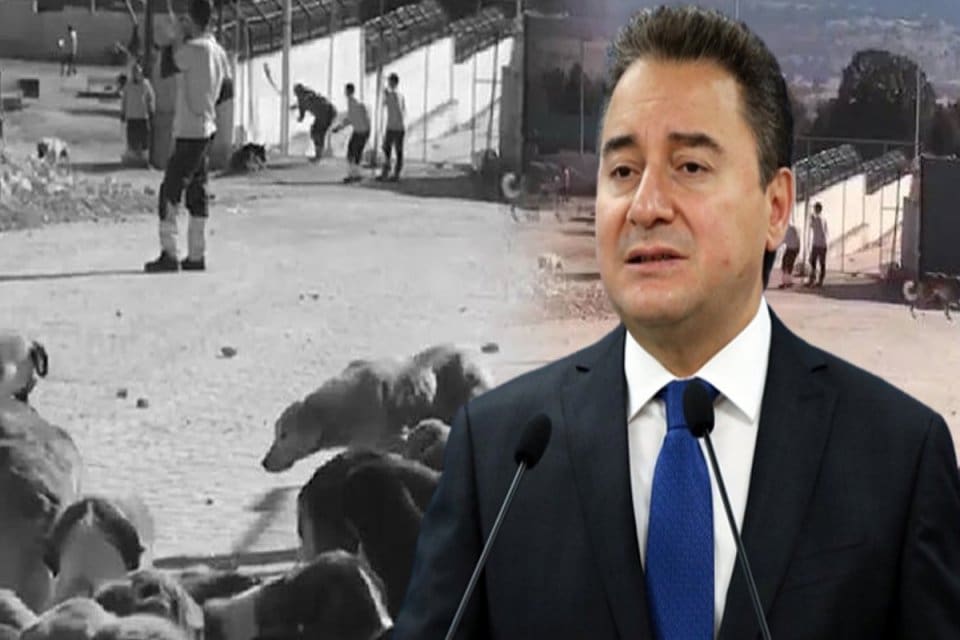 DEVA Partisi lideri Babacan, Konya&rsquo;da belediyeye ait barınakta g&ouml;revlinin şiddet