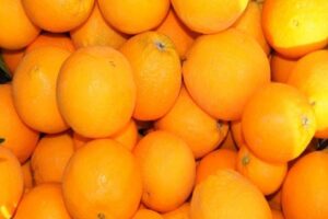 Çin'in güneybatısında kalan Yünnan bölgesindeki bir havalimanında uçağa biniş sırasında