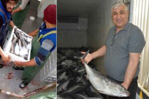 EGE Denizi'nde, bir s&uuml;redir olumsuz hava şartları nedeniyle ava &ccedil;ıkamayan