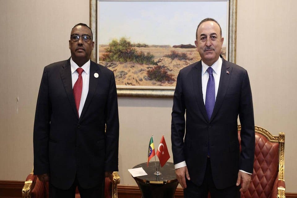 Dışişleri Bakanı Mevl&uuml;t &Ccedil;avuşoğlu, Etiyopya Dışişleri Bakanı Demeke Mekonnen ile