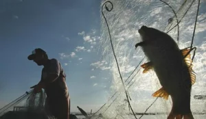 Tarım ve Orman Bakanı Bekir Pakdemirli, bu gece sona erecek
