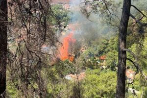 MUĞLA'nın Marmaris ilçesinde yerleşim yerlerine yakın bölgede, orman yangını çıktı.
