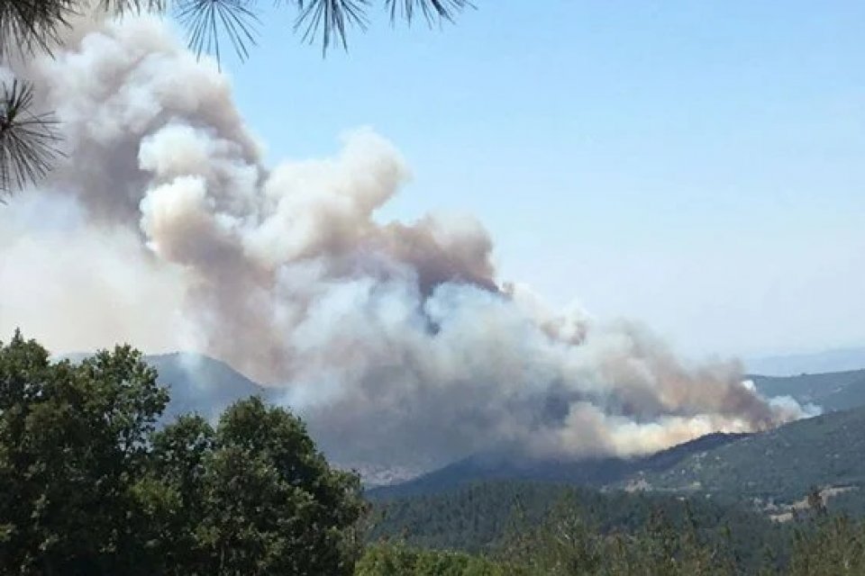 Balıkesir'in Kepsut il&ccedil;esindeki ormanlık alanda &ccedil;ıkan yangına havadan ve karadan