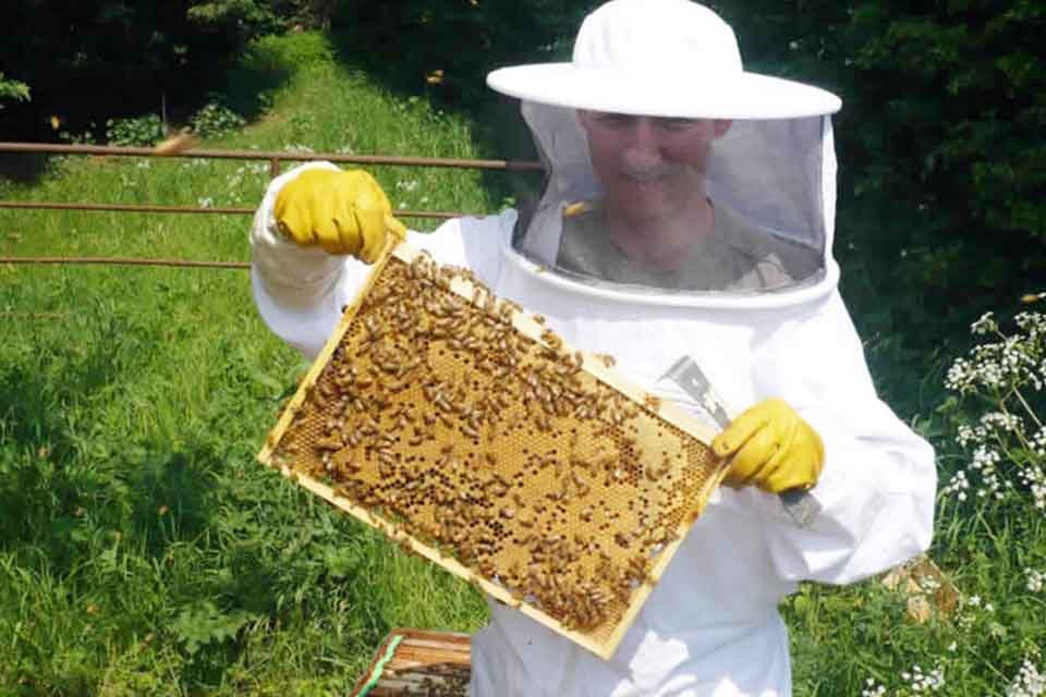 Sağlıklı ve ekonomik balı doğal yollarla &uuml;reten ama satma konusunda