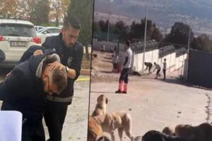 Konya'nın Cumhuriyet Başsavcılığı, B&uuml;y&uuml;kşehir Belediyesi'ne ait Hayvan Rehabilitasyon Merkezi'nde&nbsp;k&ouml;peği&nbsp;k&uuml;rekle&nbsp;vurarak &ouml;ld&uuml;ren