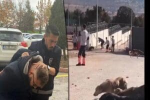 Konya B&uuml;y&uuml;kşehir Belediyesi&rsquo;ne ait Hayvan Rehabilitasyon Merkezi&rsquo;nde, k&uuml;rekle k&ouml;peğe vurarak