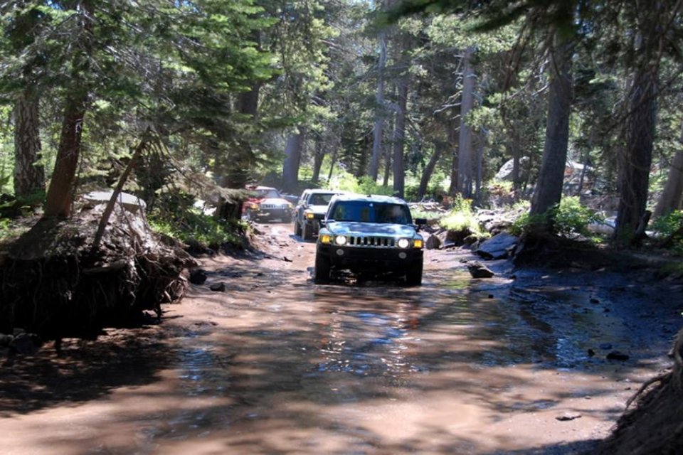 Bartın'da kestane toplamak isteyen vatandaşlar, ormanlara akın etti. Yol kenarına