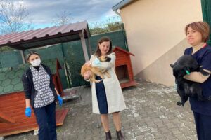 Sokak hayvanları nedeniyle yaşanan tartışmalar gündemdeki yerini korurken Balçova Belediye