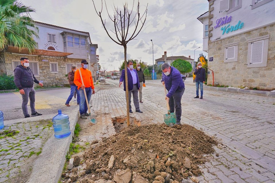 Çeşme Belediye Başkanı M. Ekrem Oran, Alaçatı’da dut fidanı dikerek