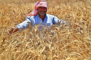 İzmir B&uuml;y&uuml;kşehir Belediye Başkanı Tun&ccedil; Soyer s&ouml;zleşmeli &uuml;retim yapan &ccedil;ift&ccedil;ilerden