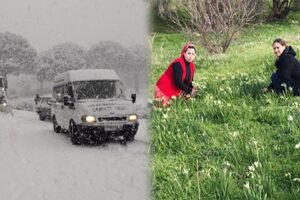 Başkan Soyer, karla mücadele görüntüleriyle Karaburun'daki nergiz fotoğraflarını, Hasan Hüseyin