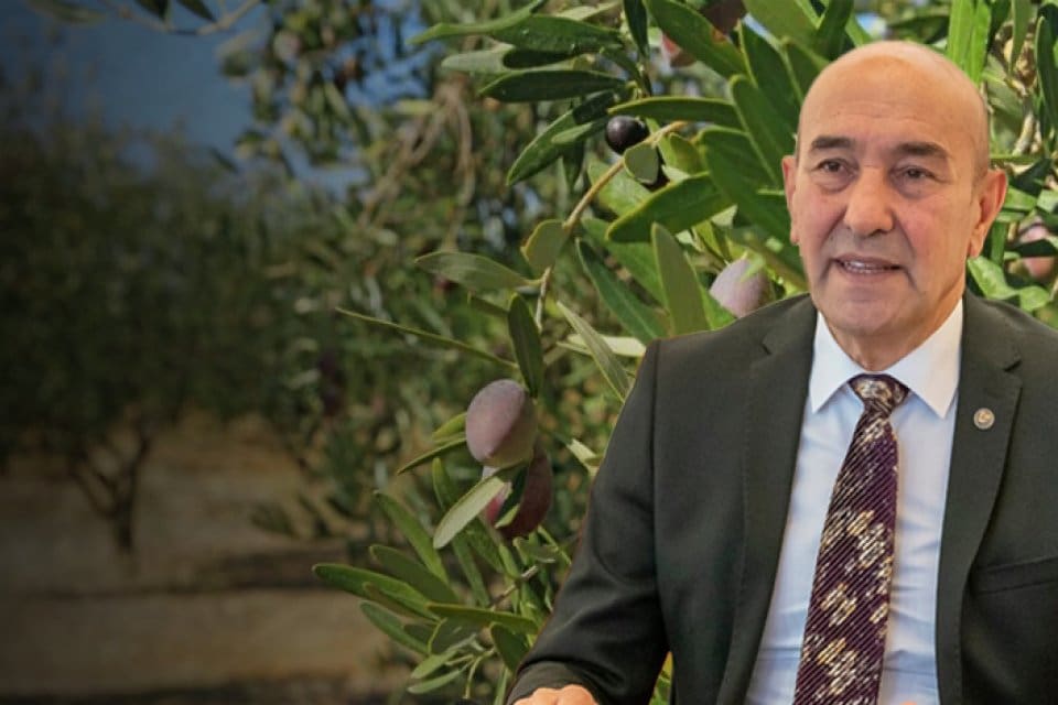 Zeytinlik alanlarda madencilik faaliyetlerine izin verilmesini de kapsayan torba kanun