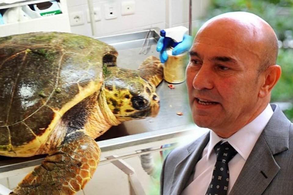 Güzelbahçe açıklarında yaralı bulunan caretta carettanın ateşli silahla vurulduğu belirlendi. Başkan Soyer