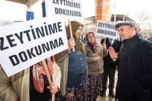 İzmir B&uuml;y&uuml;kşehir Belediye Başkanı Tun&ccedil; Soyer, Menderes'te zeytin fidanı dağıtımına