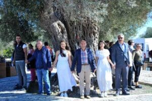 İzmir B&uuml;y&uuml;kşehir Belediyesi zeytinlik alanlarda madencilik faaliyetleri y&uuml;r&uuml;t&uuml;lmesinin &ouml;n&uuml;n&uuml; a&ccedil;an