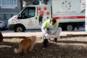Bayraklı Belediyesi, soğuk kış g&uuml;nlerinde de sokak hayvanlarını sahipsiz bırakmıyor.